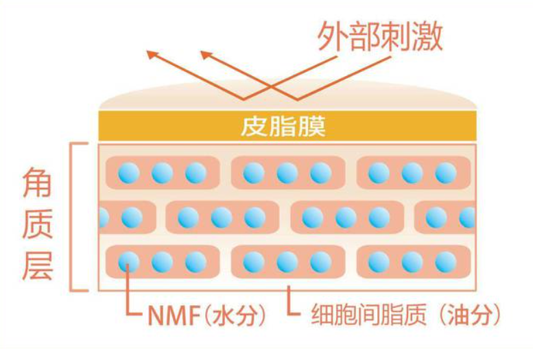 皮肤瘙痒、泛红、干燥怎么办？发现问题、“对症下药”才有效