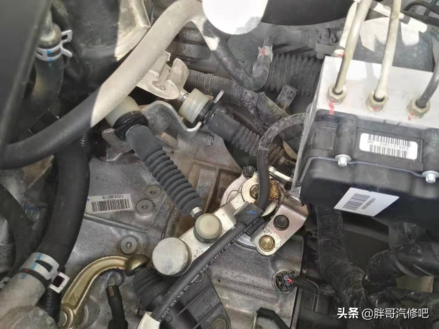 胖哥推荐铃木血统二手车，大空间、高配置、还省油
