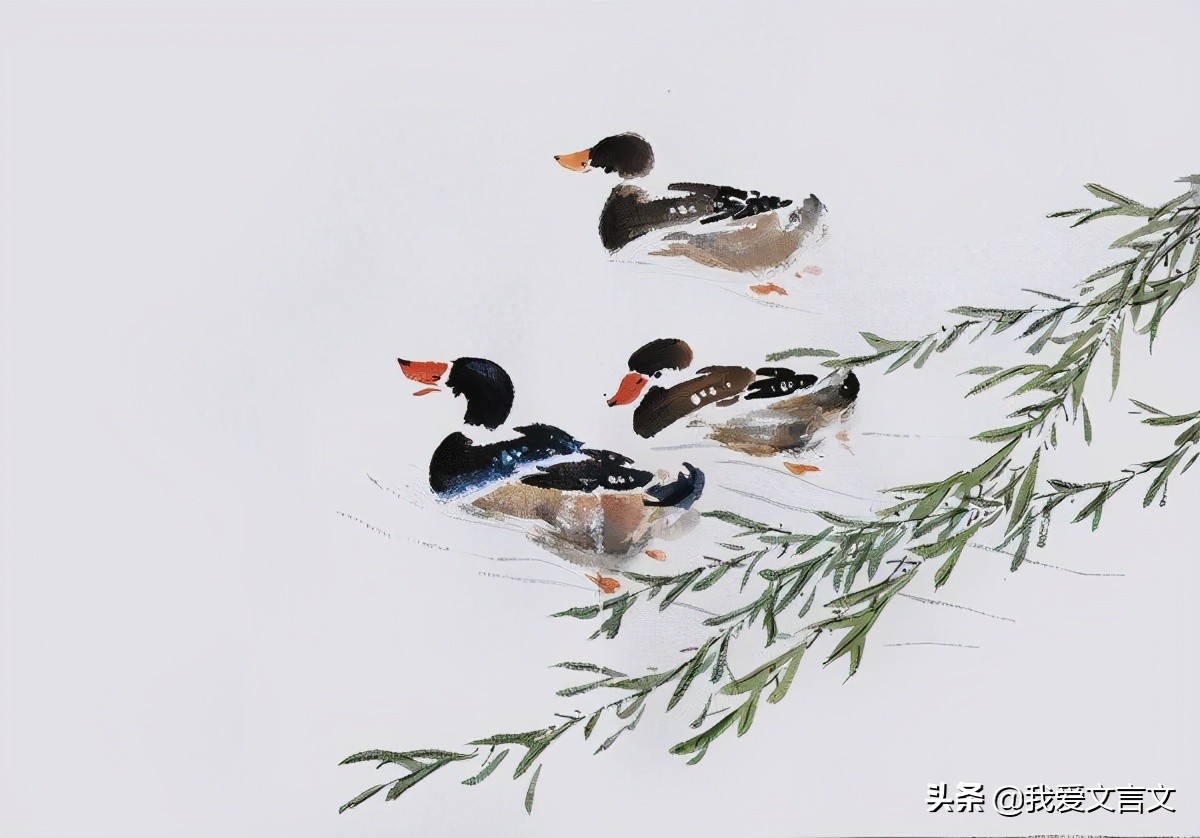 经典文言文赏析 | 愚人赞父