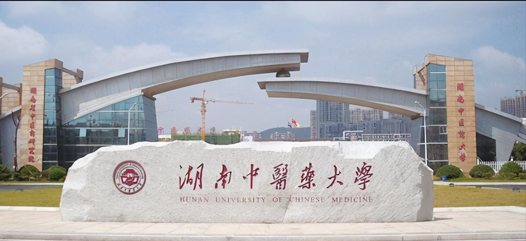 什么是父爱如山？湖南这所大学的钢琴大叔，用音乐完美诠释了父爱