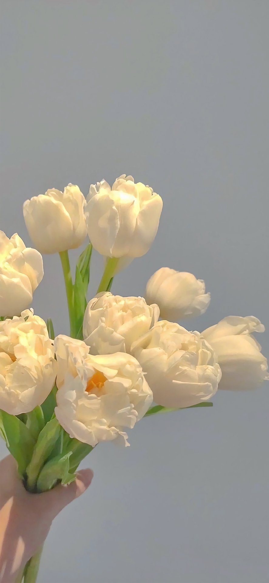 简约壁纸 ins高级感壁纸 4k超清全面屏手机壁纸 超火壁纸