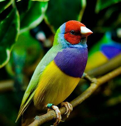 每位东方女子,心底都有一个关于玉镯的梦