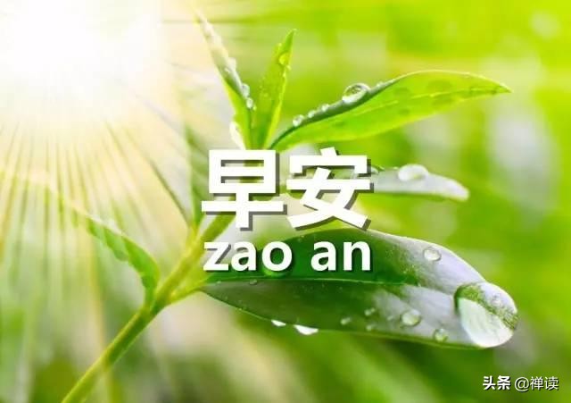 舞台如梦绽放光芒，每个瞬间都是生命最美的演出，愿你在这人生舞台上勇敢闪耀，早安！
