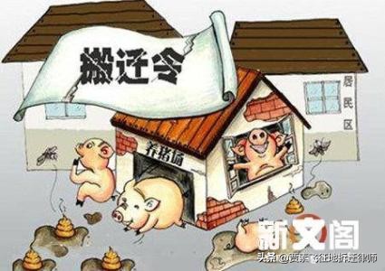 征收过程中强拆案件的司法审查【女法官讲课内容，你不想看看？】