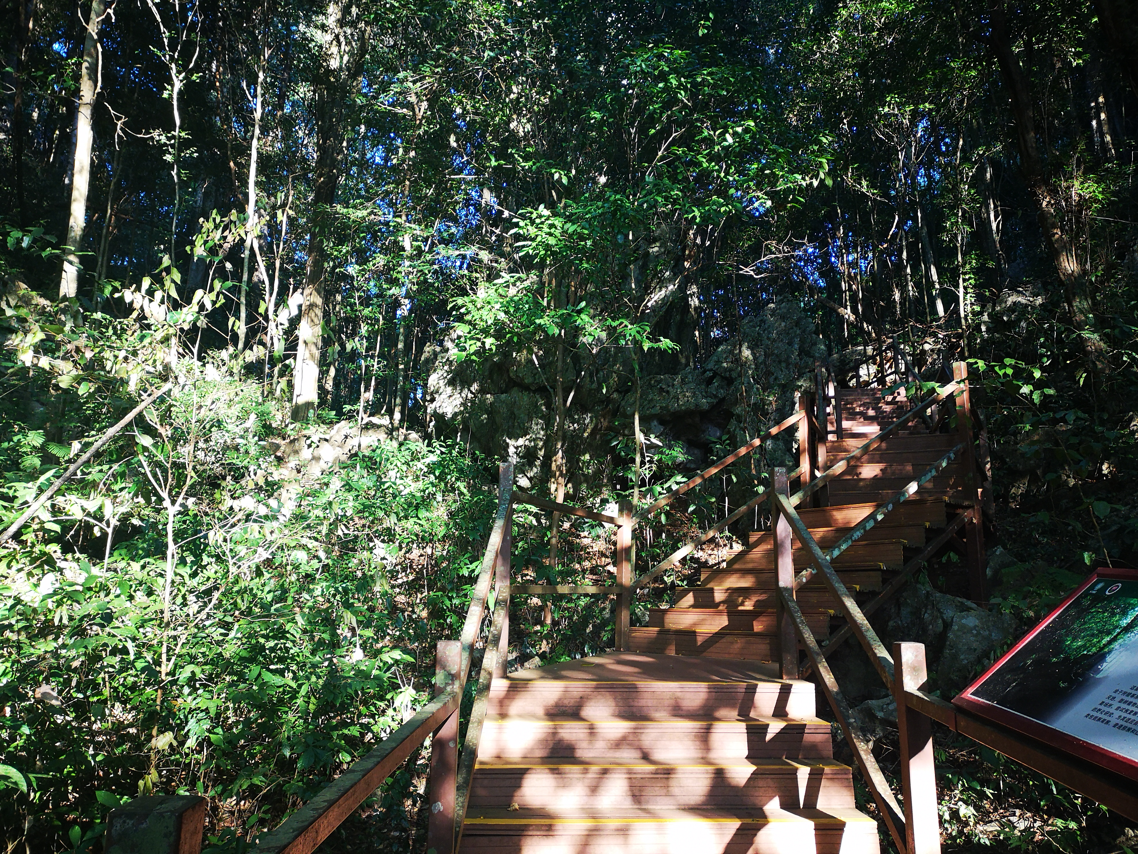 西双版纳8天9晚2600元，中科院热带植物园最详细攻略看这一篇就够