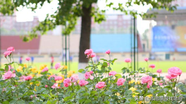 大数据专业很“火”，但报考这个专业，要注意两个细节