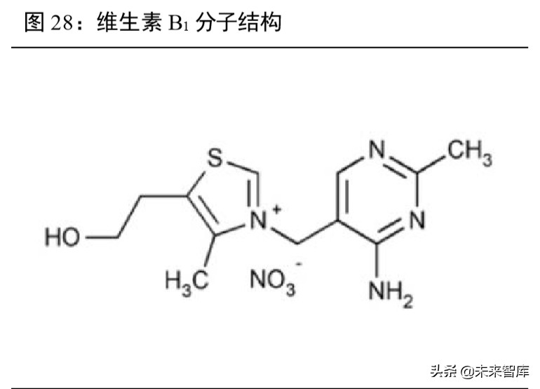 维生素行业深度报告：13个主要维生素品种生产工艺与市场格局解析