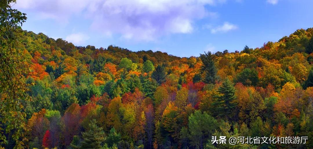 旅游月历 | 金秋十月，来河北给你“好看”！