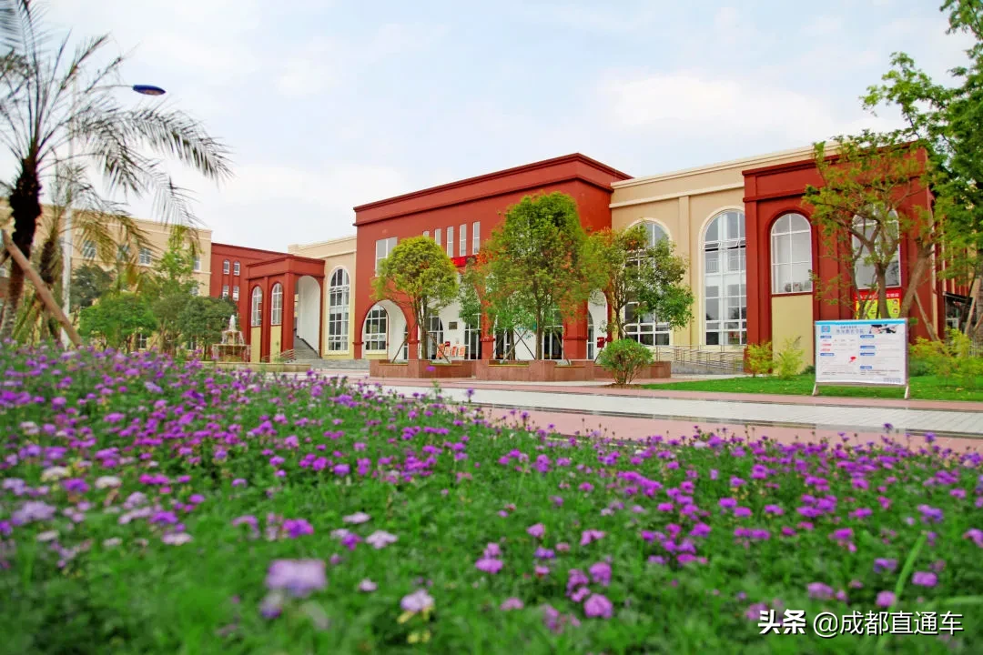 花开的季节·一起爱上文理