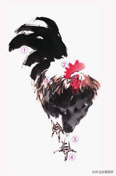 零基础国画教程:老艺术家教你用双勾法画公鸡,简单易学,快收藏