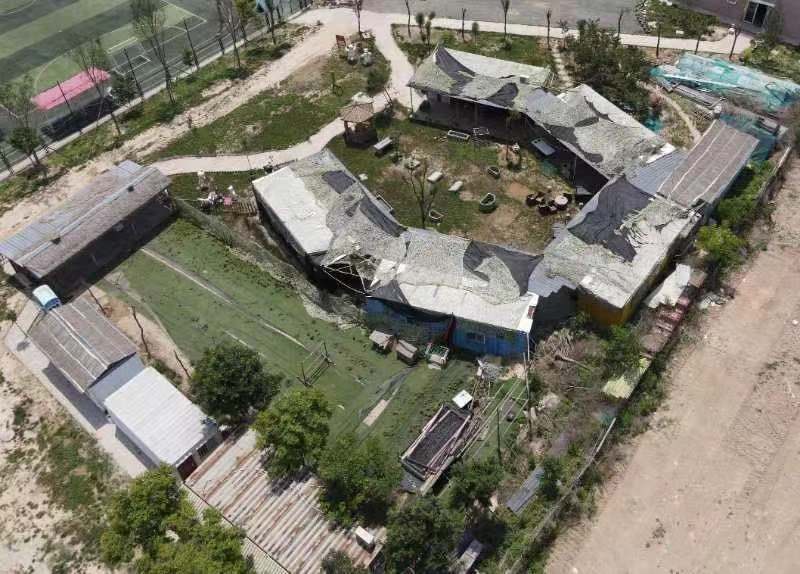 什么是2000万人关注的导盲犬基地？在这里，狗和志愿者才是主角