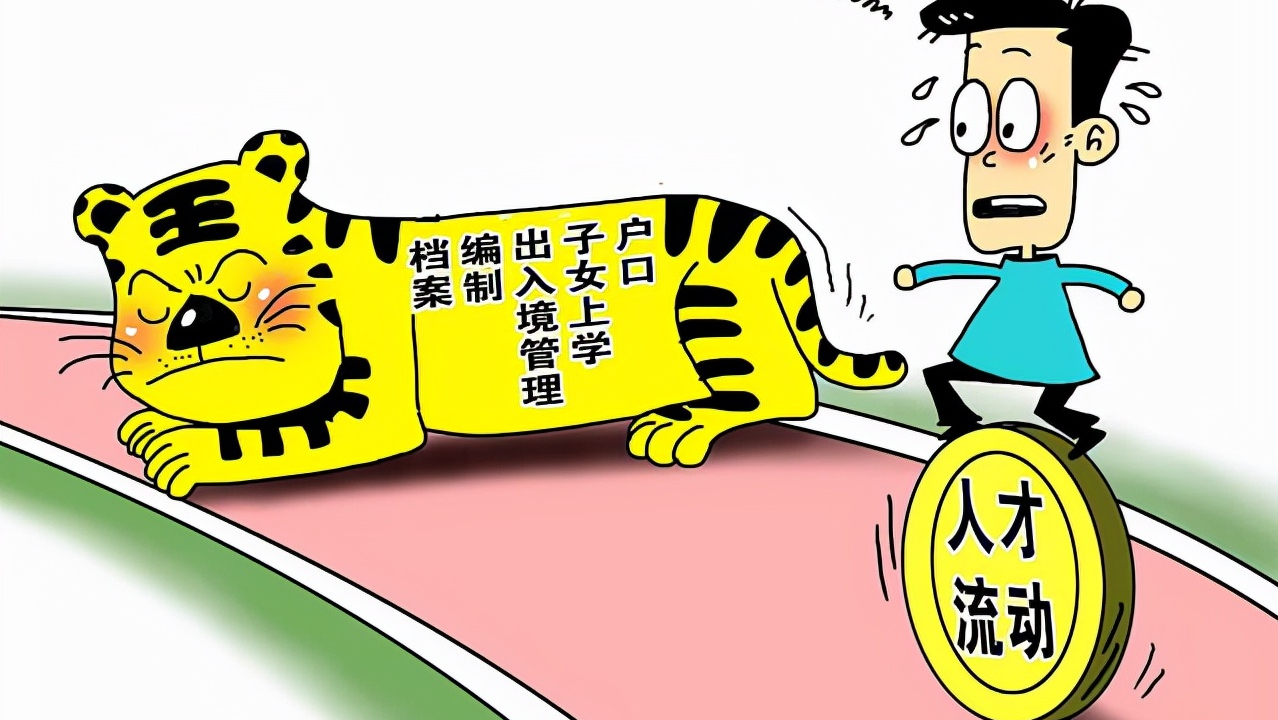 南方科技大学快速发展，内地高校排名第9，背后推动力是什么？