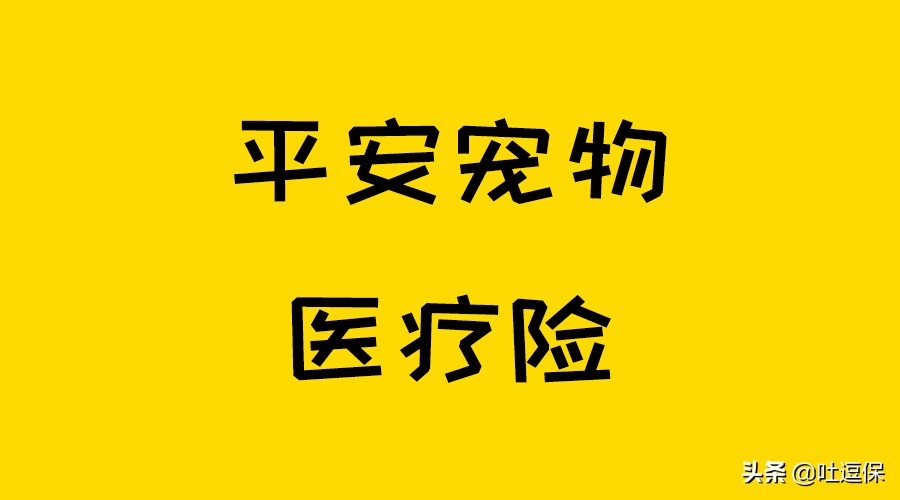 给宠物看病太费钱？省钱妙招快拿去