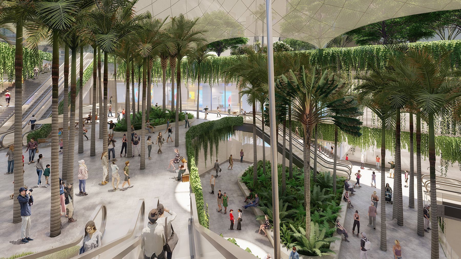 深超总“超级校园”长什么样？来看中央绿轴与片区景观深化设计成果