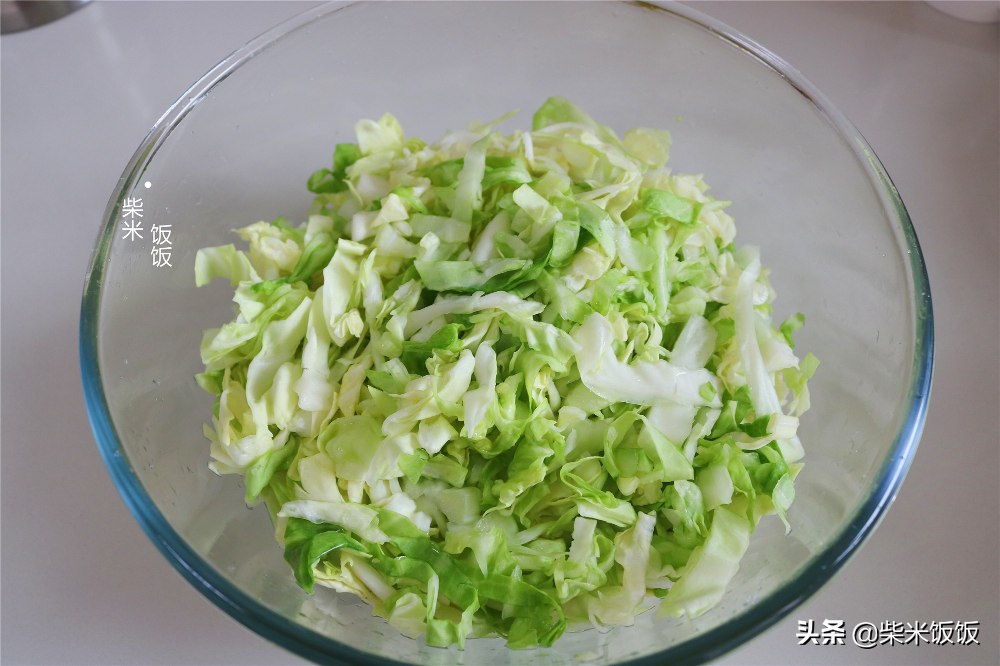 甘蓝馅饺子的做法大全（教你做一口满嘴都是汁的素馅饺子）