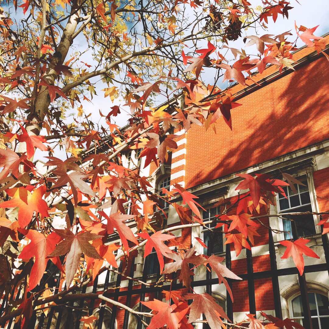 曼彻斯特大学世界排名第27位，与北大相当，考上有多难？