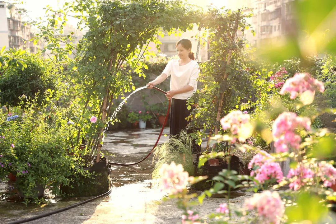 海妈花园访问｜想种花没地方？重庆小学老师在学校楼顶造了座花园
