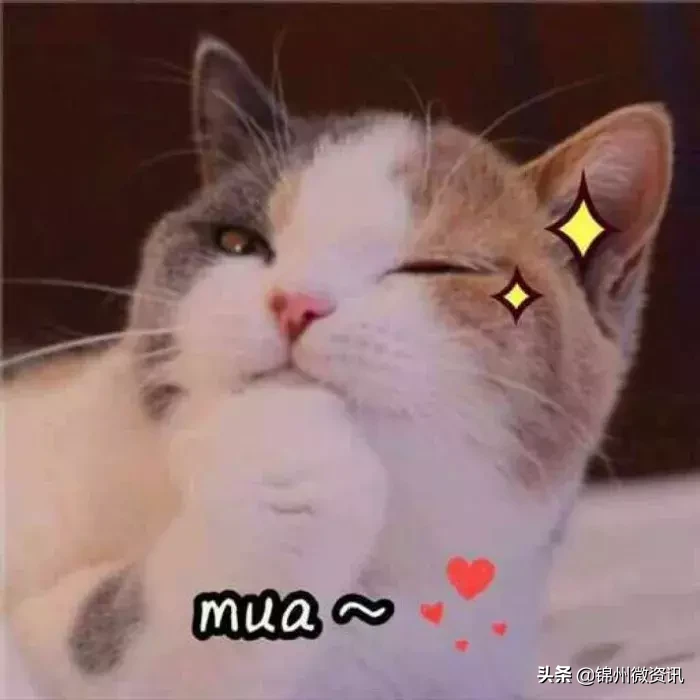 锦州渤海大学！全国最美大学之一！新入学的同学想知道的都在这里