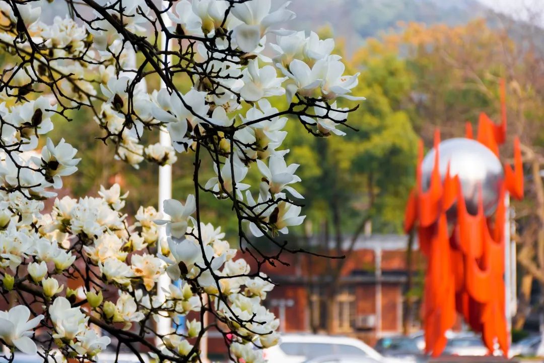 高考结束了？快来看看中南大学吧！