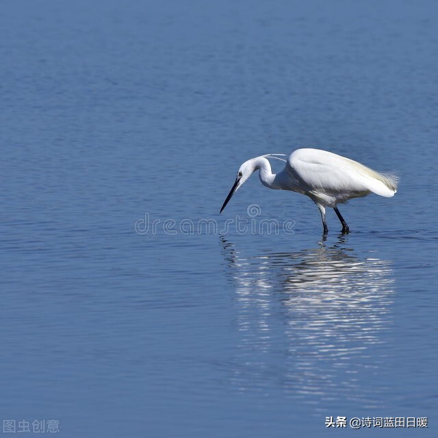 西塞山前白鹭飞翻译（唐代诗人张志和的渔歌子译文欣赏）