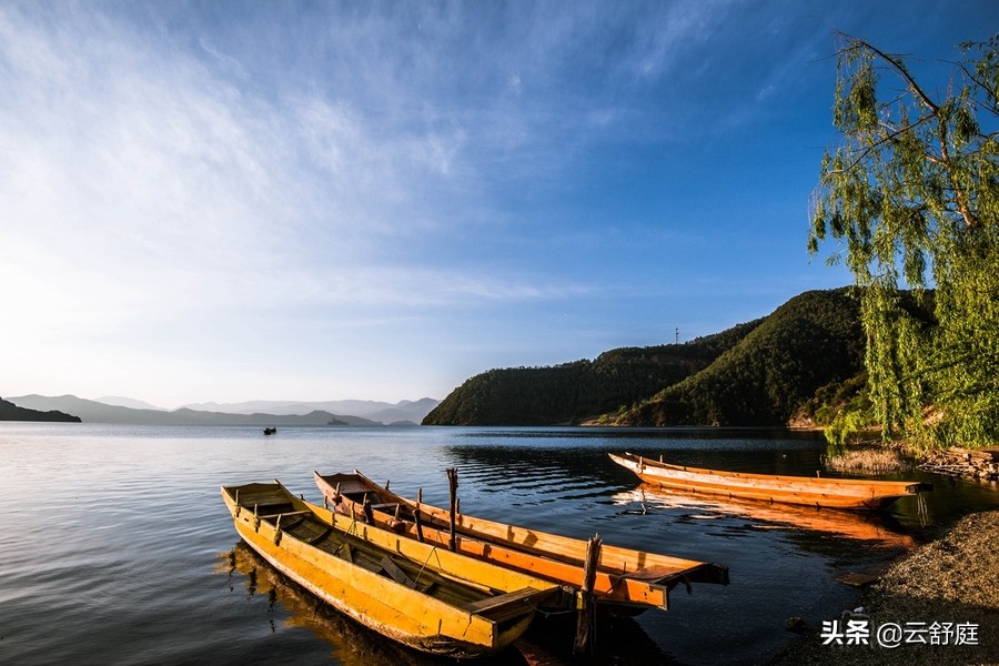 小升初为去好学校，母亲甘愿献出肉体，《湖畔》反映日本教育乱象