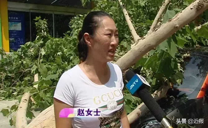 闹心!济南一颗大树倒伏砸奔驰,这个损失谁来赔?