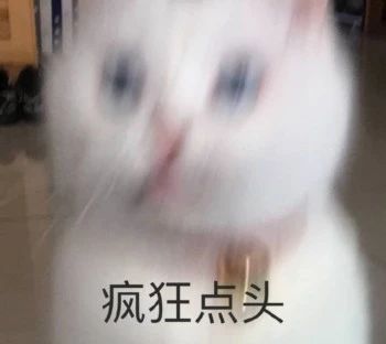 性感猫咪，在线陪聊