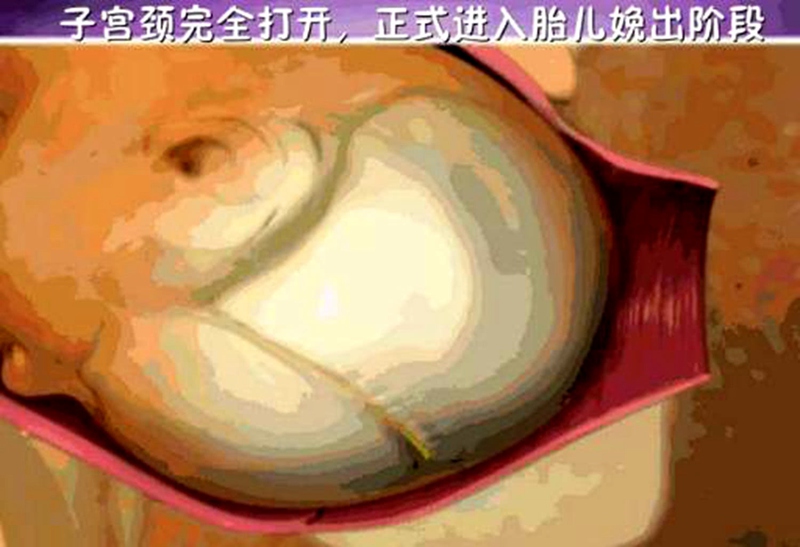 怀孕生子不只妈妈在付出，胎宝也很努力，看完分娩过程你也会感动