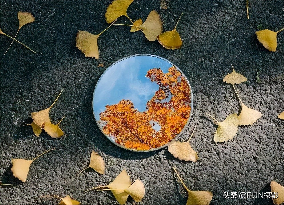 学会这9个拍深秋落叶的手机摄影技巧，让照片更具故事与情感