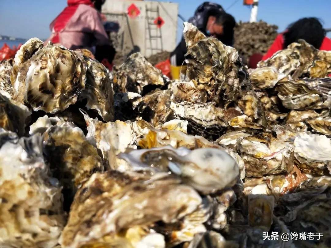 十月这5种海鲜适合常吃，味道鲜美还不贵，关键营养还极高