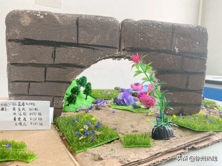 徐州三十一中举行江苏省首批初中生物学科发展示范中心启动仪式