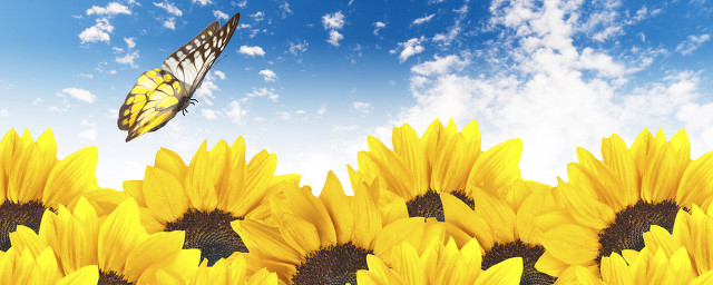 有感于一份思想汇报