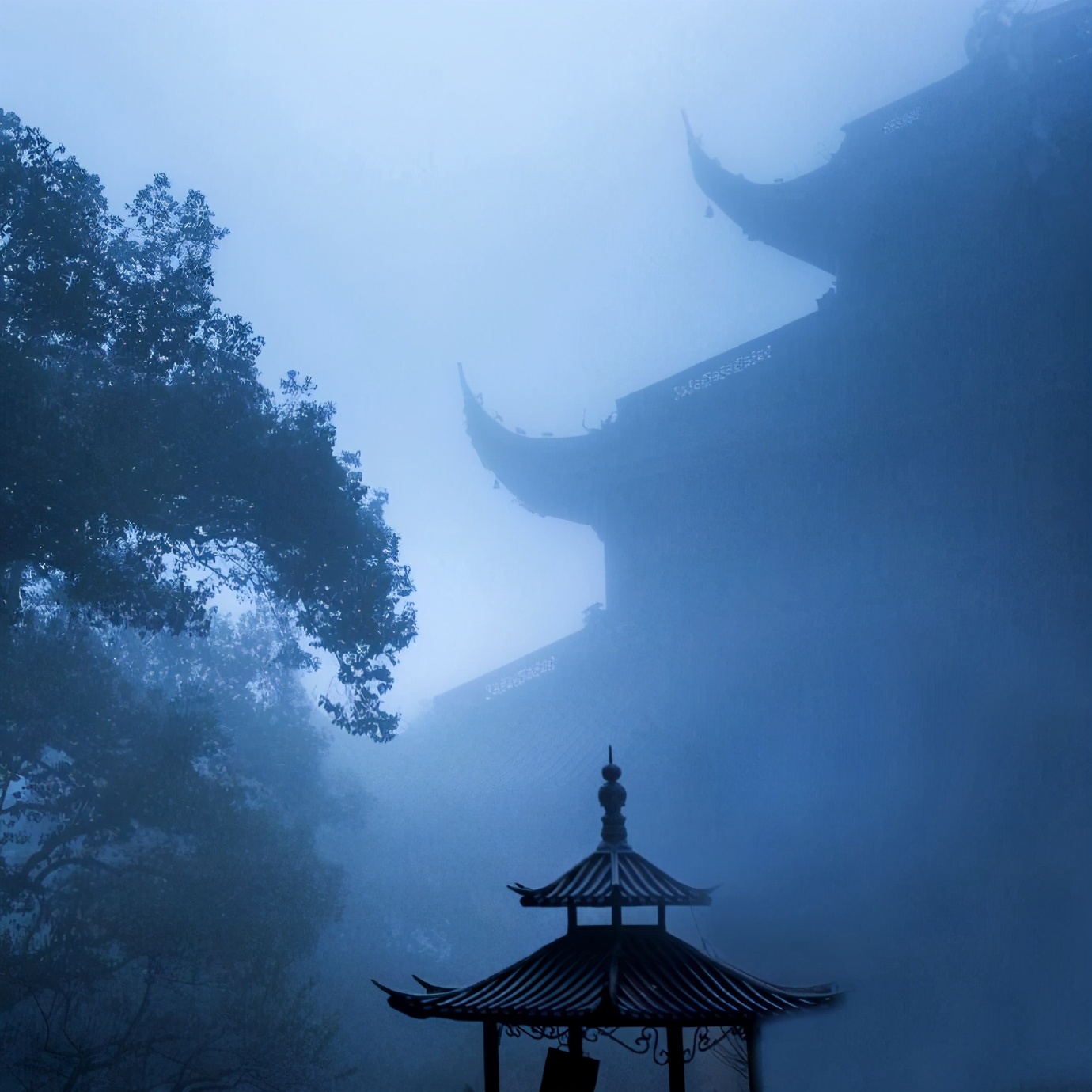 抖音普陀山下创作的视频_抖音火山视屏_普陀山抖音最火的视频