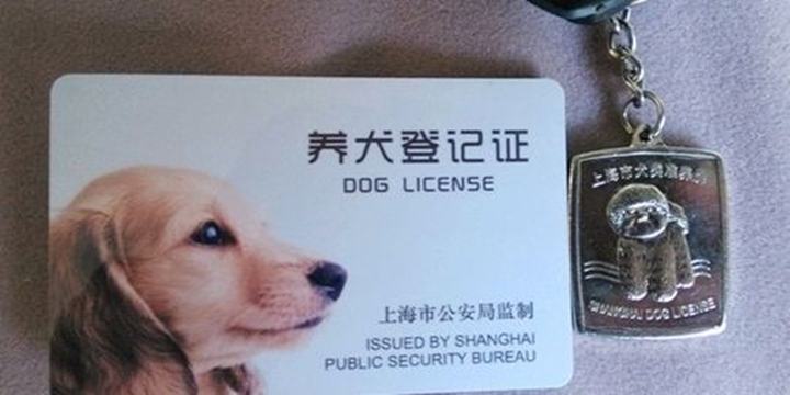 狗证，作为狗狗的身份证，在实际生活中究竟有何用处呢？