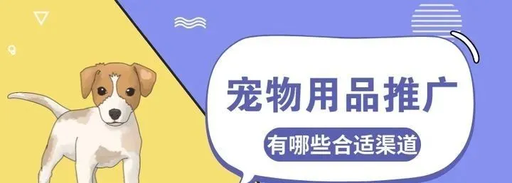 宠物推广平台推荐：哪些平台最适合宠物产品推广？