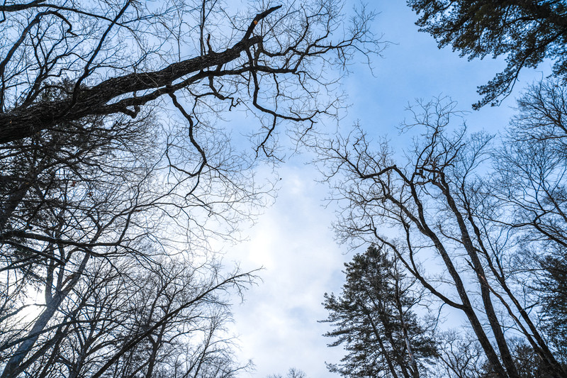 冰雪总动员，玩转长白山：一山一水，体验“世界级”冰火两重天