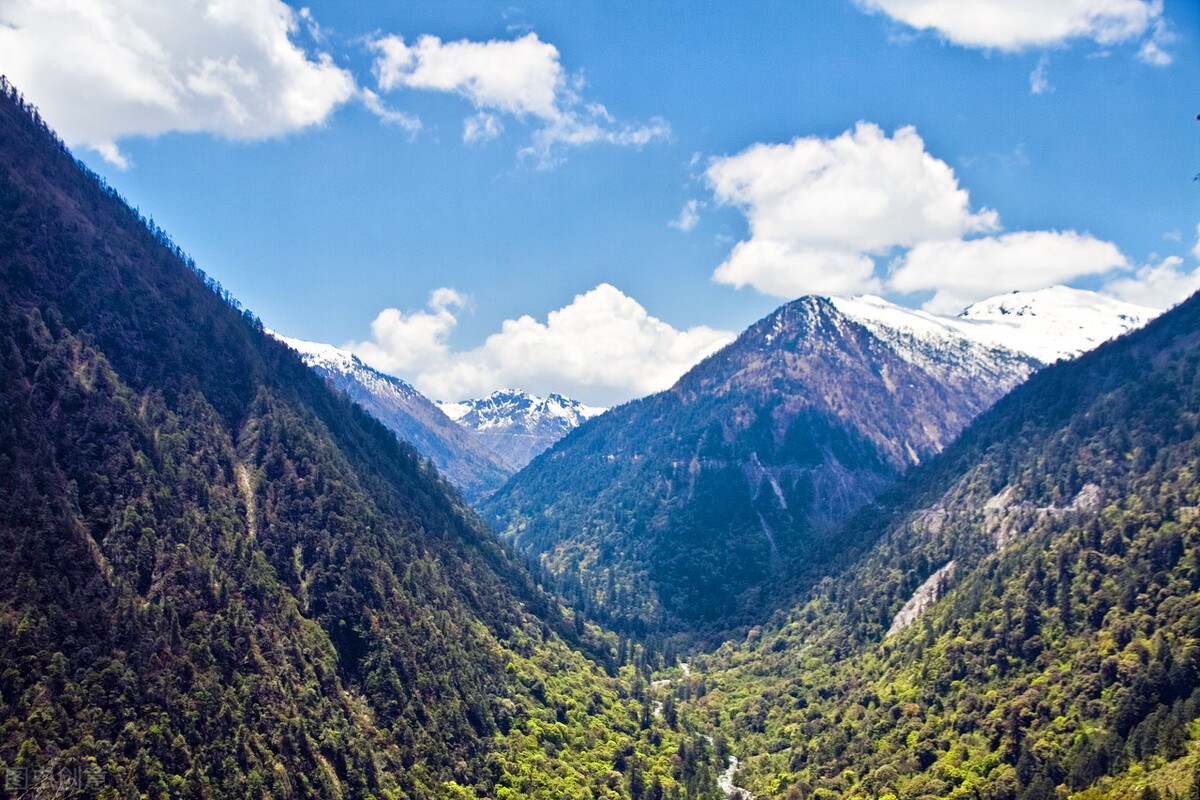 谈谈诗的押韵及其禁忌，不押韵者也是诗吗？