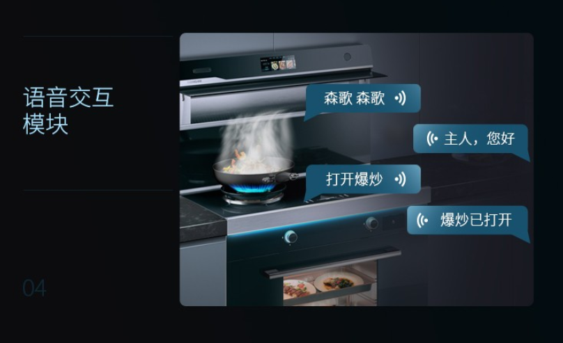 集成灶选择：森歌帅丰火星人美大亿田，多品牌、细节、款式分