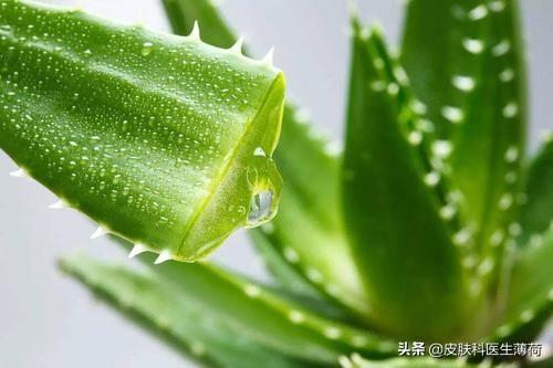 迷惑护肤大赏|马应龙痔疮膏，开塞露，芦荟，维生素E，维生素C片