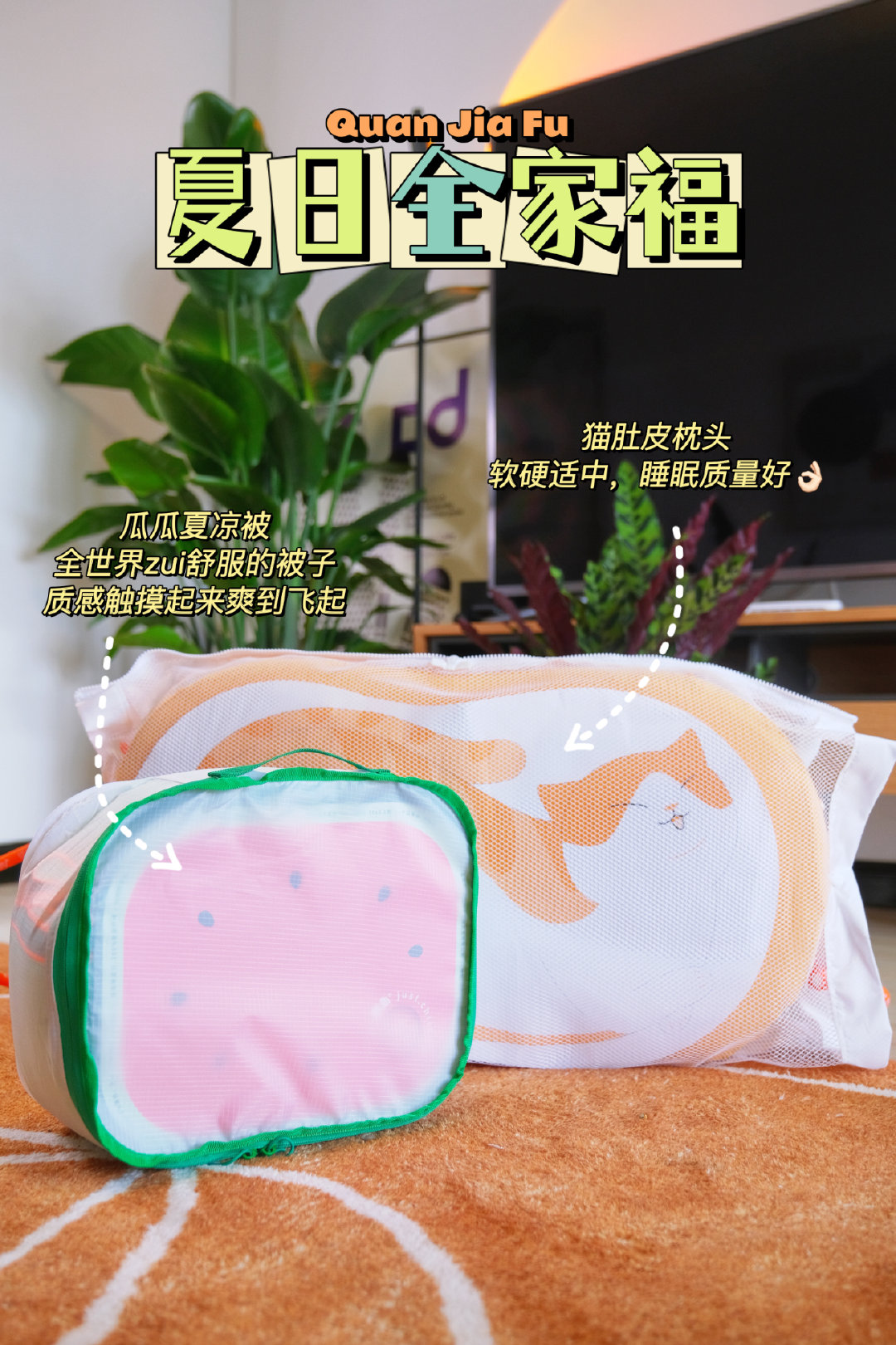 嘎嘎嘎，我又入了躺岛家的新被子咯，上次的猫肚皮枕头狗哥和贾志国轮着睡
