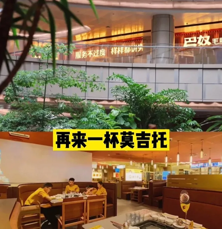 00后餐饮消费趋势(餐饮+酒一定是未来00后的消费趋势)
