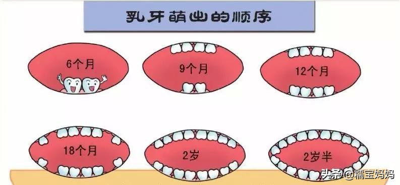 宝宝几岁开始换牙属于正常，儿童换牙顺序图片大全图解