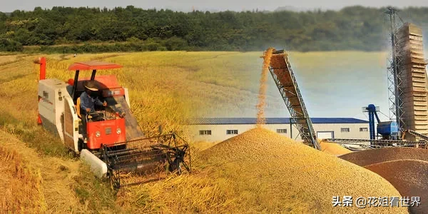 农业板块势头大好！2021年这十只农业股潜力无限！