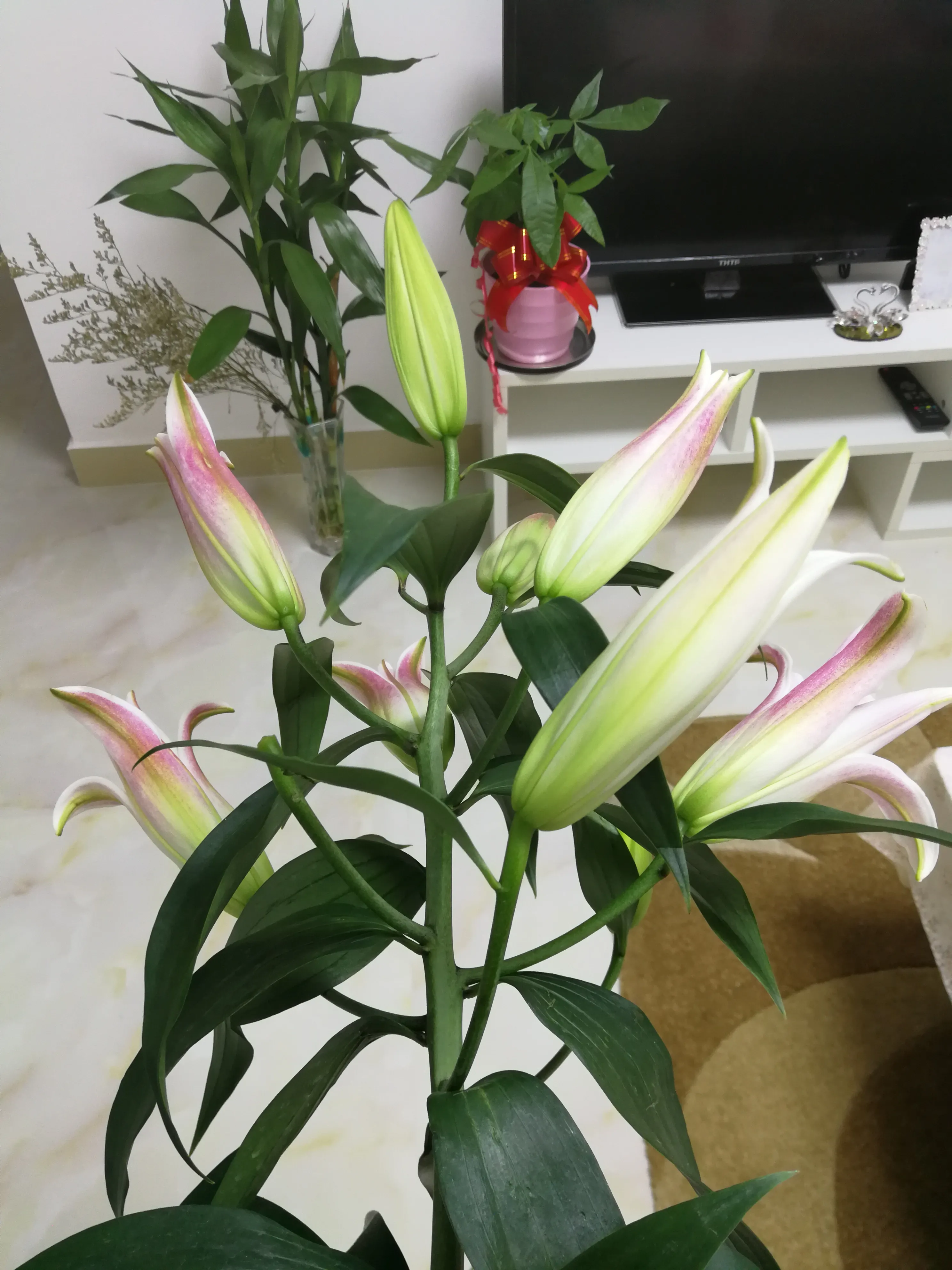 你在人生最低谷时候，是怎么翻身的