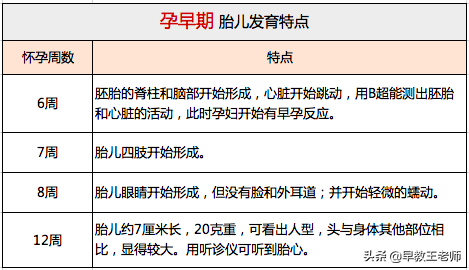 怀孕初期、中期、晚期，各个时期需要注意些什么呢？ 