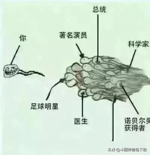 我一生就赢了这一次