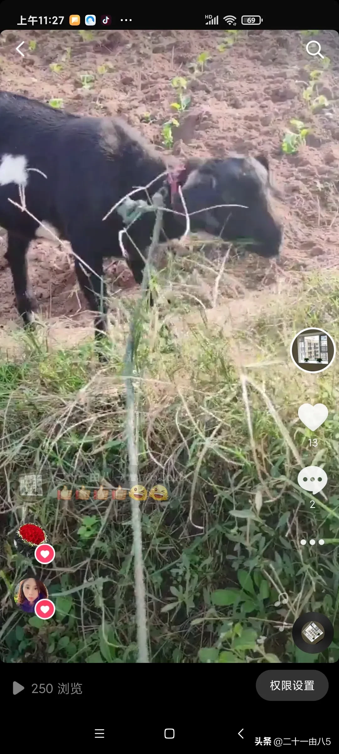 术后病人能吃清炖老鸭汤吗(术后鹅蛋和老鸭汤能配着吃吗？——术后食物日记)