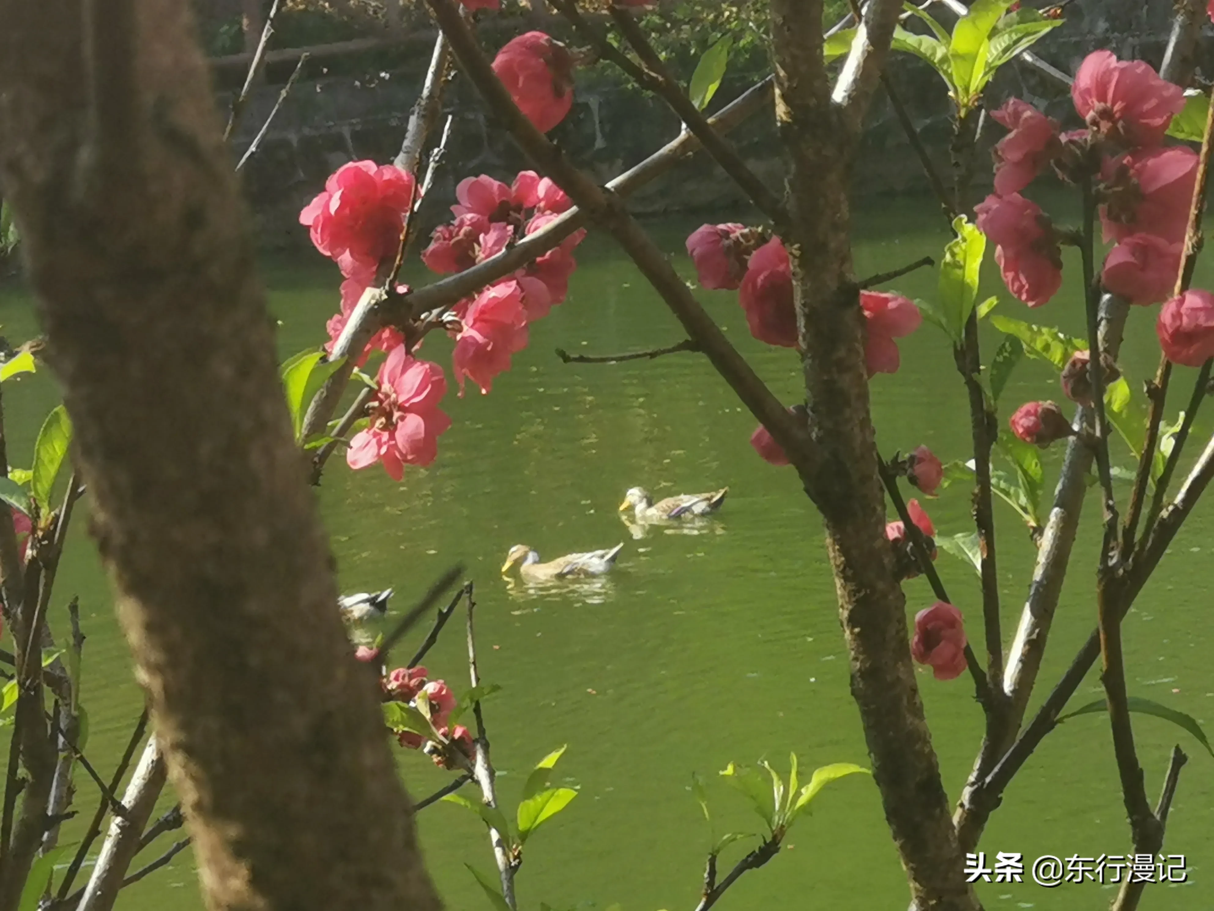旅游推文该如何写？除了游山玩水记录，还可以写什么？
