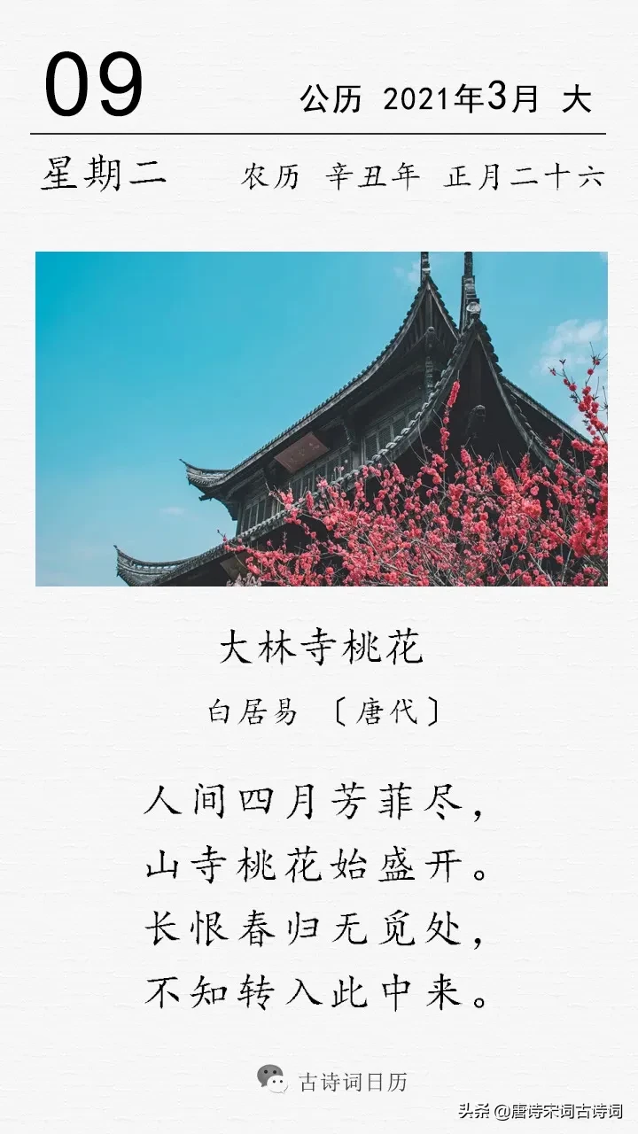 白居易写过哪些关于桃花诗(这是唐代大诗人白居易的一首咏桃花七绝)
