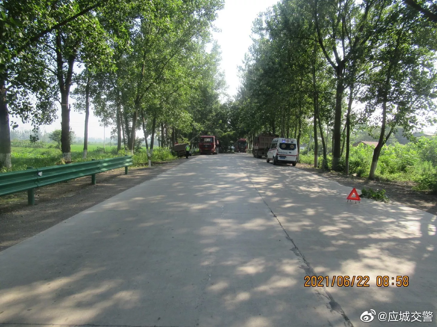 覆车之戒违法超车发现无路可超，只好向左打方向撞树，结果可叹！五大曝光